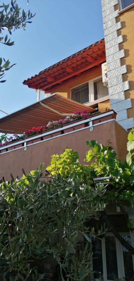 Marinici  Kuca Za Odmor Vista Mare 빌라 외부 사진